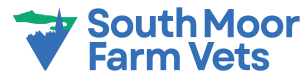 South Moor Vets