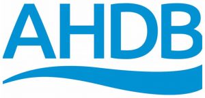 AHDB